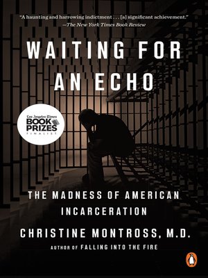 cover image of Waiting for an Echo
